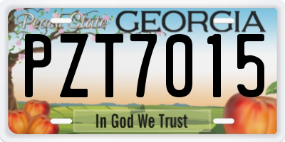 GA license plate PZT7015