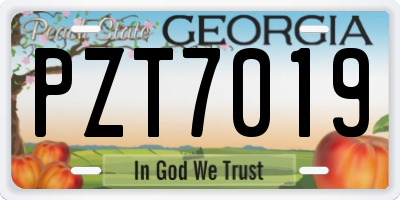 GA license plate PZT7019