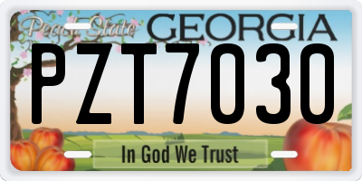 GA license plate PZT7030