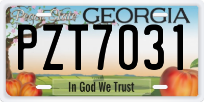 GA license plate PZT7031