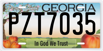 GA license plate PZT7035