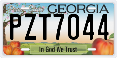 GA license plate PZT7044