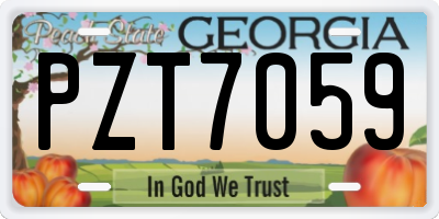 GA license plate PZT7059