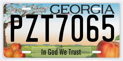GA license plate PZT7065