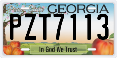 GA license plate PZT7113
