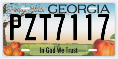 GA license plate PZT7117