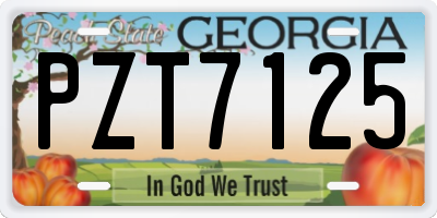 GA license plate PZT7125
