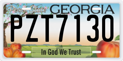 GA license plate PZT7130