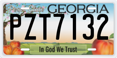 GA license plate PZT7132