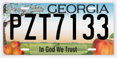 GA license plate PZT7133