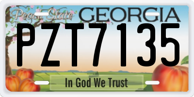 GA license plate PZT7135