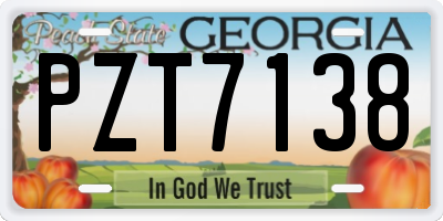 GA license plate PZT7138