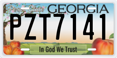 GA license plate PZT7141