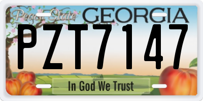 GA license plate PZT7147