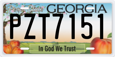 GA license plate PZT7151