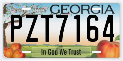 GA license plate PZT7164