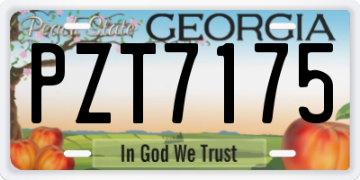 GA license plate PZT7175