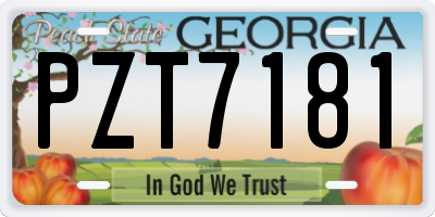 GA license plate PZT7181