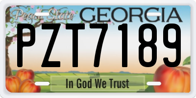 GA license plate PZT7189