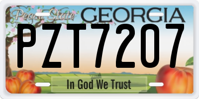 GA license plate PZT7207
