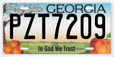 GA license plate PZT7209