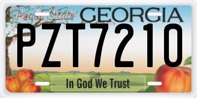 GA license plate PZT7210