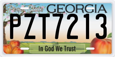 GA license plate PZT7213