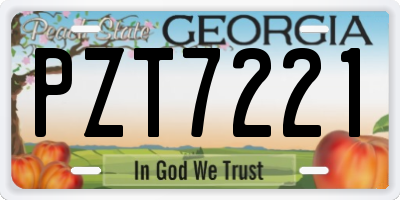 GA license plate PZT7221