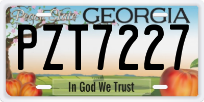 GA license plate PZT7227