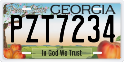 GA license plate PZT7234