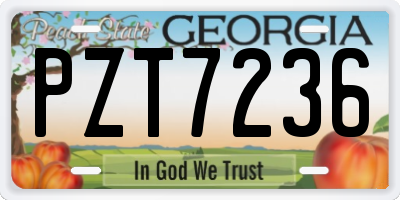 GA license plate PZT7236