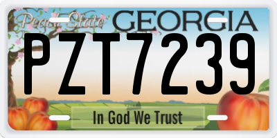 GA license plate PZT7239