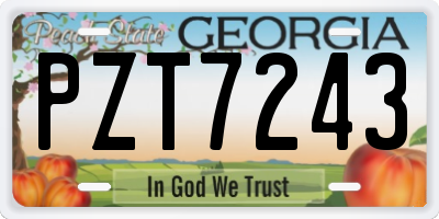 GA license plate PZT7243