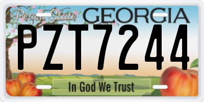 GA license plate PZT7244
