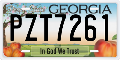 GA license plate PZT7261