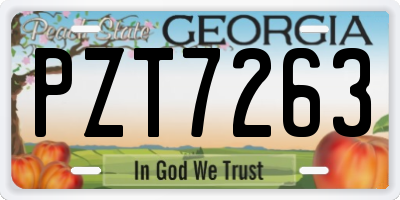 GA license plate PZT7263