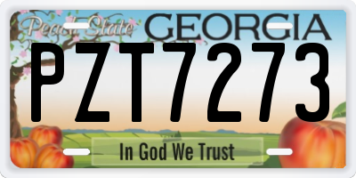 GA license plate PZT7273