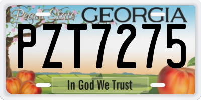 GA license plate PZT7275