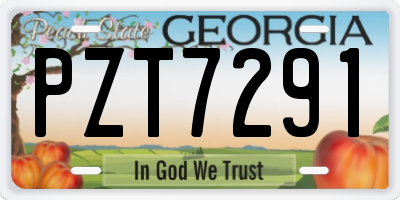 GA license plate PZT7291