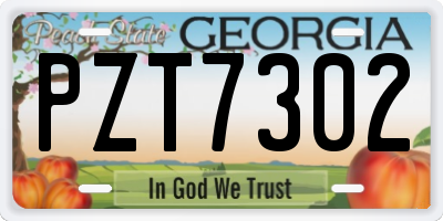 GA license plate PZT7302