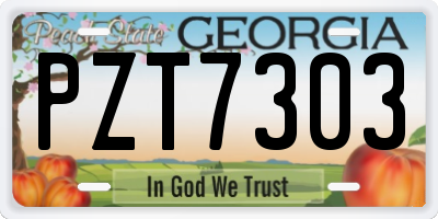 GA license plate PZT7303