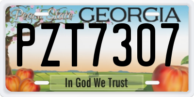 GA license plate PZT7307
