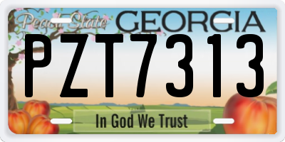 GA license plate PZT7313