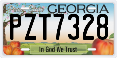 GA license plate PZT7328