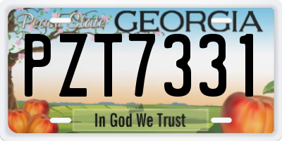 GA license plate PZT7331