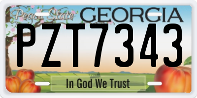 GA license plate PZT7343