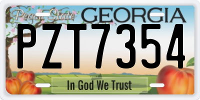 GA license plate PZT7354