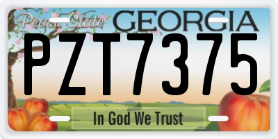 GA license plate PZT7375