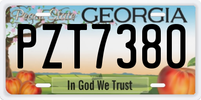 GA license plate PZT7380