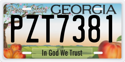GA license plate PZT7381